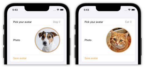 Image result for Swiftui Xcode Imagerenderer Class