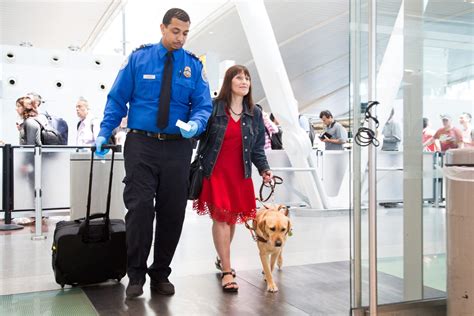 Southwest Airlines Pet Policy for Cats and Dogs [2023]