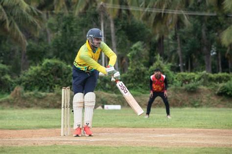 Playing Cricket 的图像结果