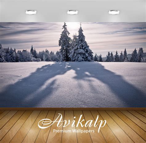 Avikalp Exclusive Awi6603 Tree Shadowing On The Snow Nature Full HD Wa ...