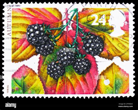 The four seasons circa hi-res stock photography and images - Alamy