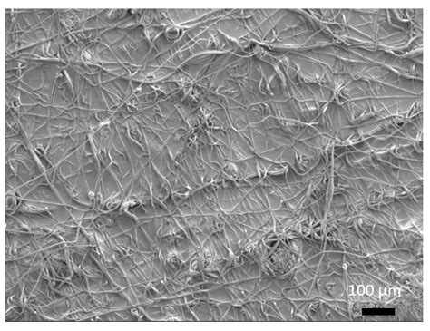 Helicoidally Arranged Polyacrylonitrile Fiber-Reinforced Strong and ...