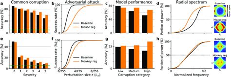Image result for Regularization Function Neural Net