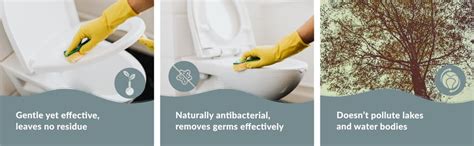 BubbleNut Wash Toilet Bowl Cleaner Liquid - Natural, Organic, Septic ...