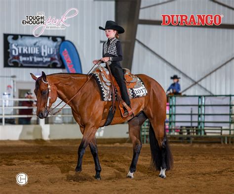 Buckeye Morgan Challenge Horse Show, 4144 Laybourne Rd, Springfield, OH ...