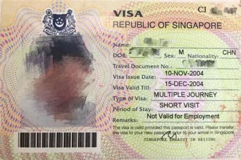 新加坡留学签证办理需要哪些材料?办理流程是什么?_签证指南_锦秋A-Level官网