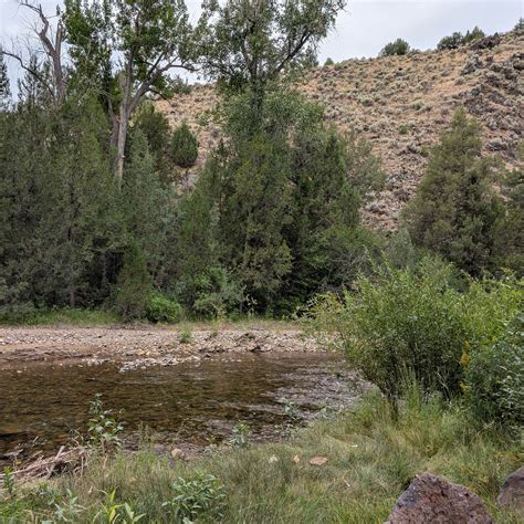 Big Cottonwood Campground | Murphy Hot Springs, Idaho