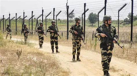 BSF seeks additional manpower for drone-affected Punjab border