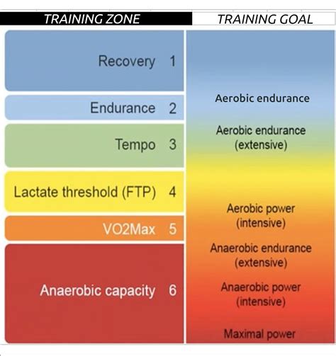 Zone 2 Training to Improve Aerobic Endurance and Fat Burning - CTS