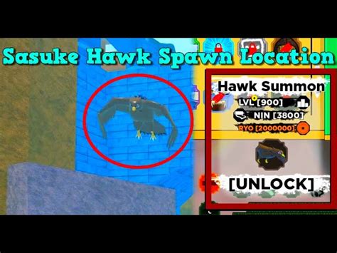Hawk Summon Spawn 的图像结果