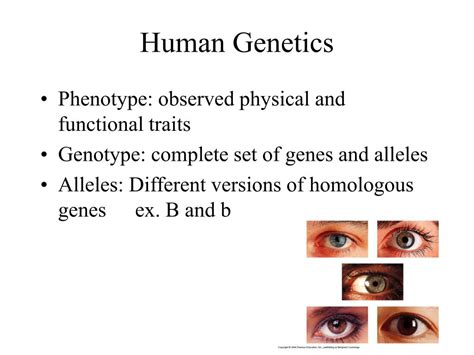 Genetics Examples 的图像结果