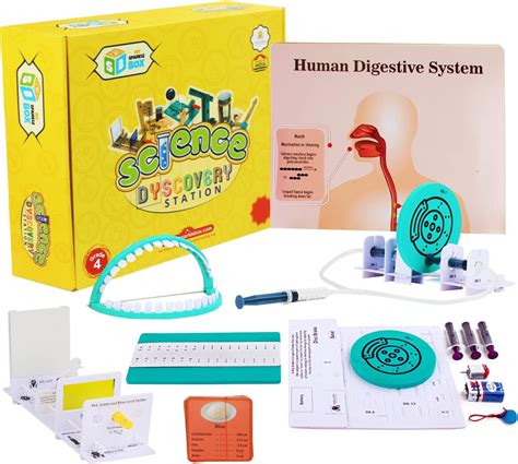 Buy SparkleBox Science Class 4 Kit, Gift for Kids 7-10 Years with 25 ...