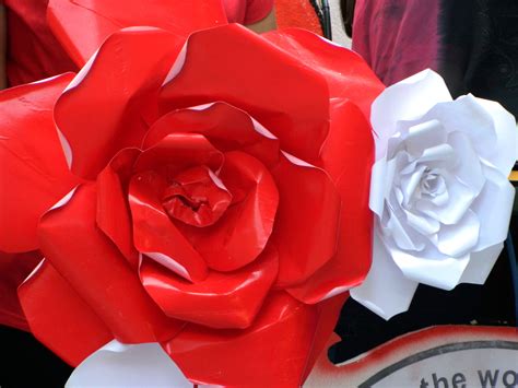 paper craft rose