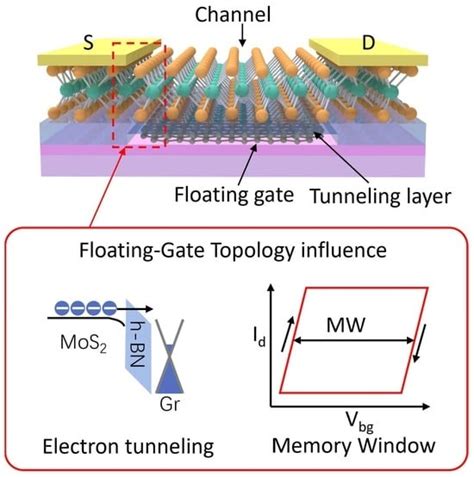 Investigating Floating-Gate Topology Influence on van der Waals Memory ...