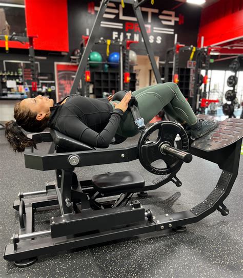 Smith Glute Bridge | ppgbbe.intranet.biologia.ufrj.br