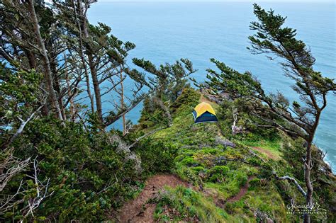 Oregon Coast Camping Campgrounds On The Oregon Coast | PlanetWare