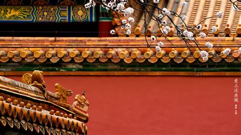 世间最美的颜色在故宫，属于中国人的故宫色，美到看一眼就忘不了！_局部
