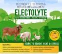 Animal Feed Supplement - Electrolyte Powder Cattle Trader - Wholesaler ...