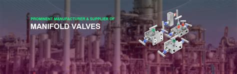 Manifold Valve, 2-3-5 Way Manifolds Valve, Supplier, Manufacturer, India