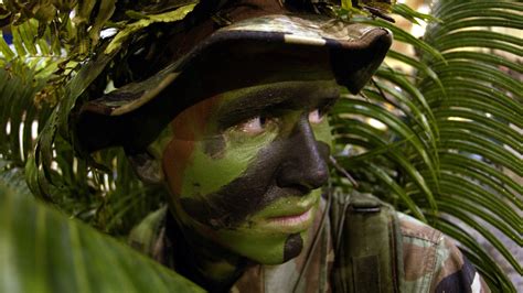 Camouflage Face