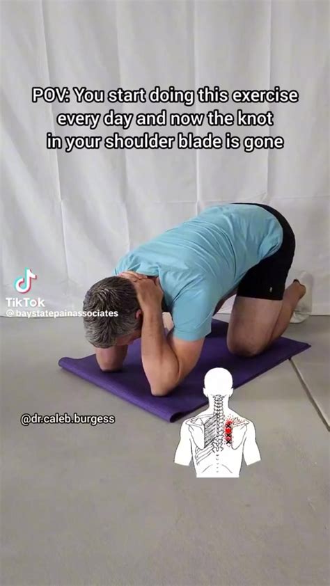 Image result for Scapular Dysfunction Exercises