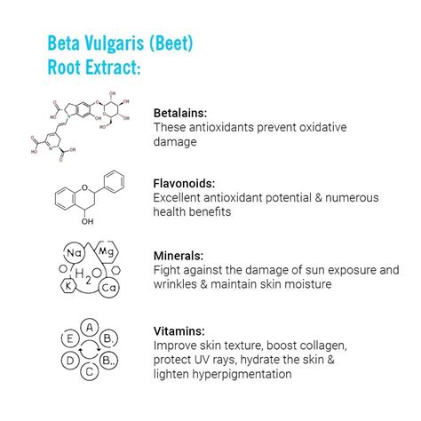 Keya Seth Aromatherapy,Experience the Power of Essential Oils