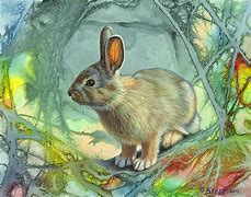 Image result for Antique Paintings of Rabbits