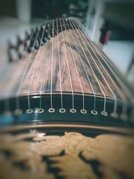 Image result for String Instruments