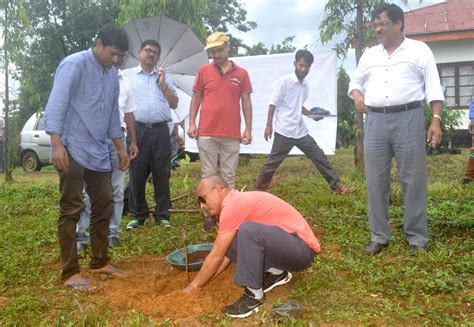 AKAM PLANTATION PHOTOS 2022 | North Eastern Electric Power Corporaton ...