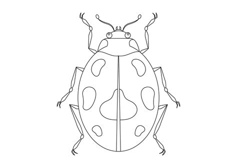 Black and White Beetle Vector Clipart. Coloring Page of a Beetle ...