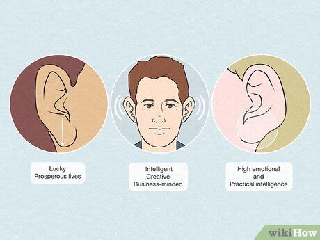 Image result for Extroverted Ears