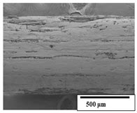 Biodegradability Assessment of Prickly Pear Waste–Polymer Fibers under ...