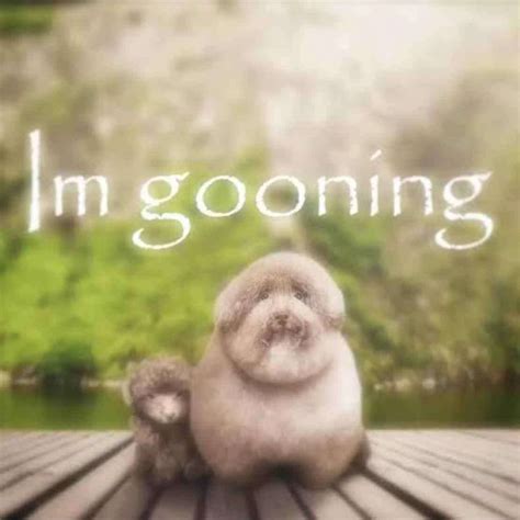 scoobert - sliding puzzle on Sliding Tiles