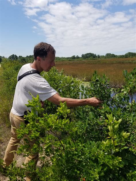 Field Trip to the Pine Barrens - Delaware Nature Society