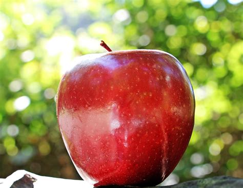Image result for Apple Basic Programming Example