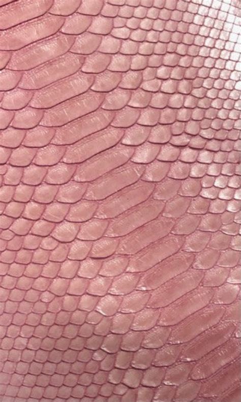 Conditioning Python Leather 的图像结果