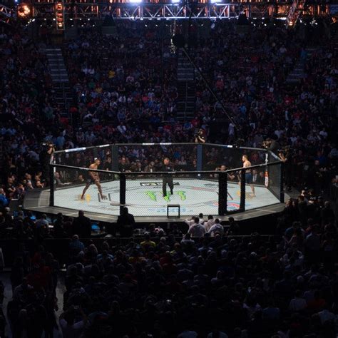 UFC LineUp 的图像结果