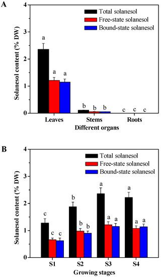 Organ- and Growing Stage-Specific Expression of Solanesol Biosynthesis ...