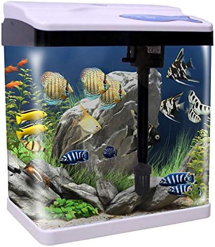 Ksh Store-10 L Aquarium Modern Fish Tank Medium Size,Curved Single ...