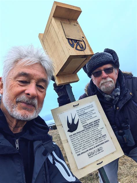 Image result for Tree Swallow Boxes