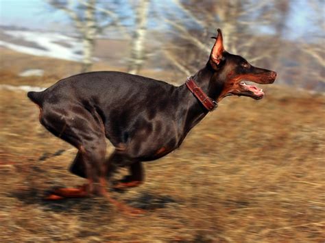 Image result for Function Parameters JavaScript