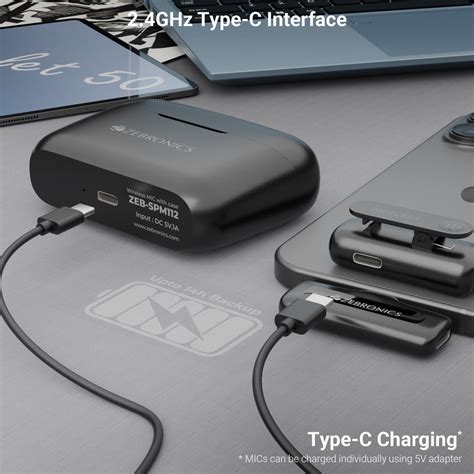 Zebronics Wavlet 50 Wireless MIC with Case