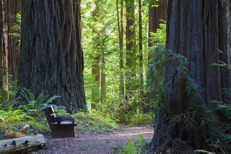 Nature Trail 的图像结果