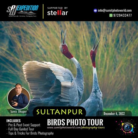 Birds Photo Tour - Sultanpur, Sultanpur National Park, Manesar, 4 ...