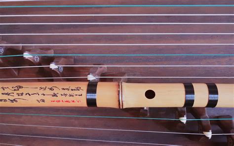 竹笛一般是什么竹子制作的？怎么样的竹子做笛子最好？
