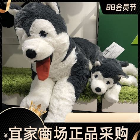 二哈送什么礼物好最新素材