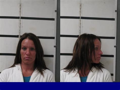 Decatur woman arrested on credit card fraud charge - al.com