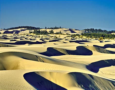 Secrets of the Oregon Dunes - Oregon Wild