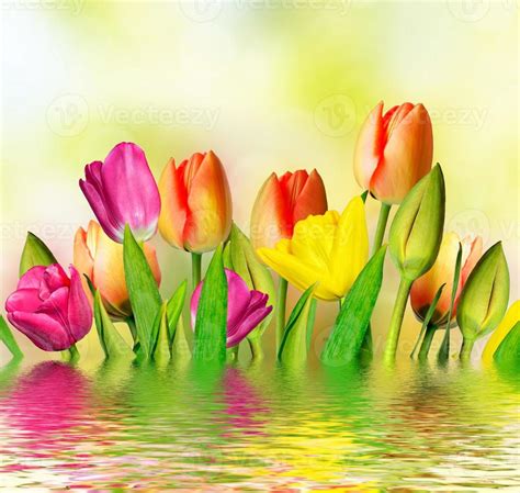 Spring 的图像结果