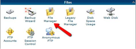 cPanel File Manager 的图像结果